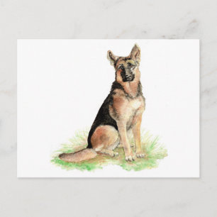 German Shepherd, Dog, Pet , Animal Postcard