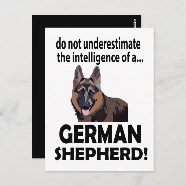 German Shepherd Dog Pet German Shepherd Postcard (Front/Back)