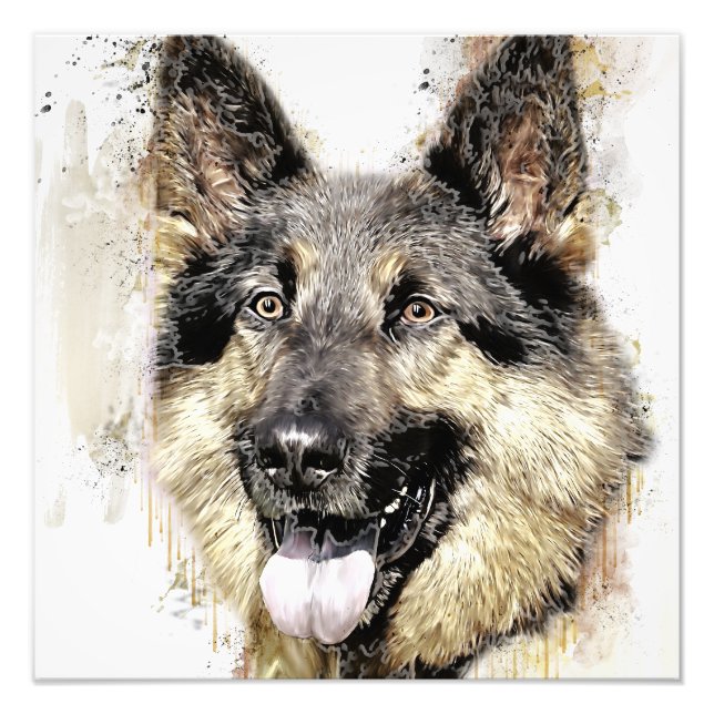 German Shepherd Dog photo Enlargement Print (Front)