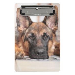 German Shepherd / Dog Photo Mini Clipboard