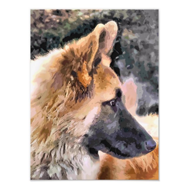 GERMAN SHEPHERD DOG PHOTO PRINT (Front)