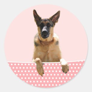 German Shepherd Dog Pink Polka Dots Classic Round Sticker