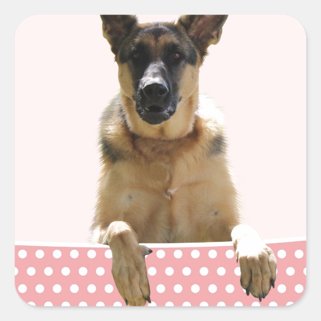 German Shepherd Dog Pink Polka Dots Square Sticker (Front)