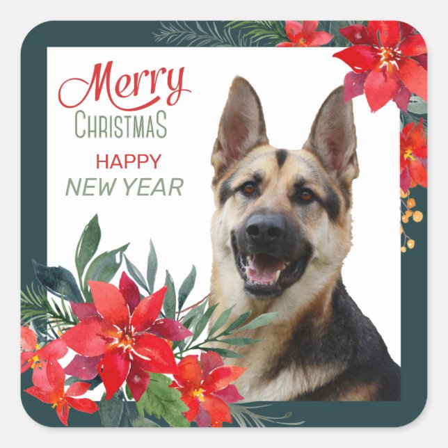 German Shepherd Dog Poinsettia Bouquet Christmas Square Sticker (Front)