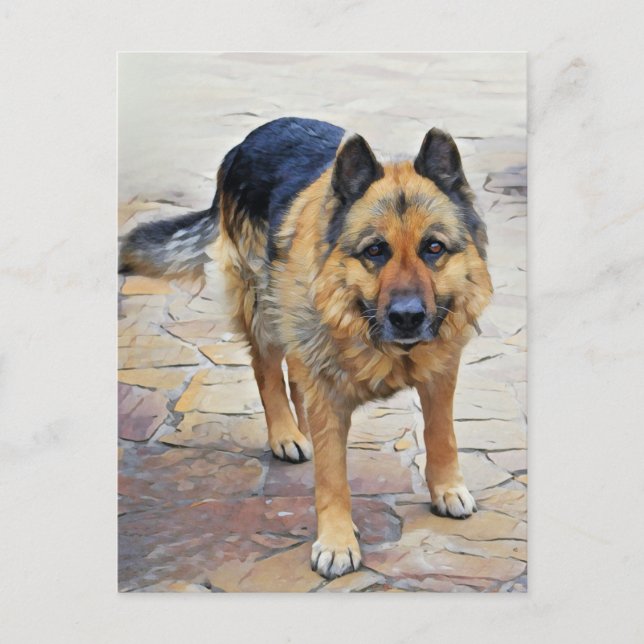 German Shepherd Dog Postcard (Front)