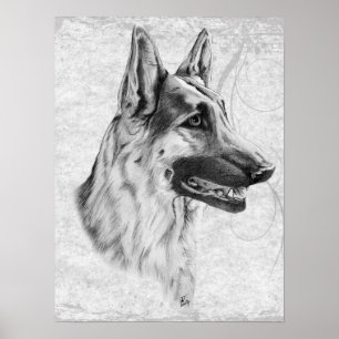 German Shepherd Dog Poster