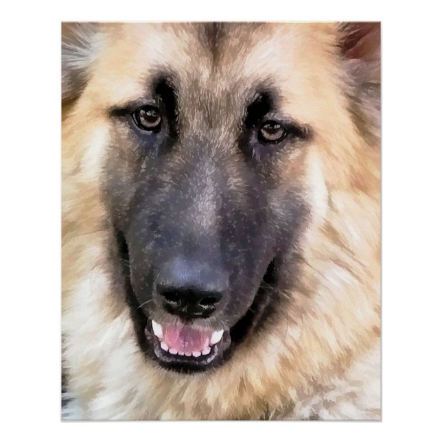 GERMAN SHEPHERD DOG POSTER (Front)