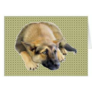 German Shepherd Dog Puppy