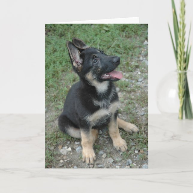 German Shepherd Dog Puppy Card (Front)