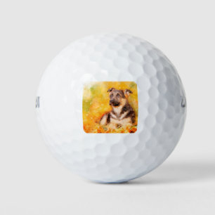 German Shepherd dog puppy Golf Balls
