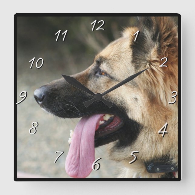 German Shepherd dog square clock (Front)