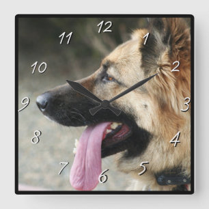 German Shepherd dog square clock