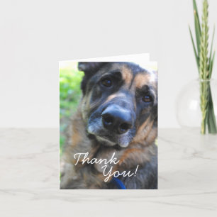 German Shepherd Dog Thank You Card