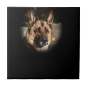 German Shepherd Dog Tile