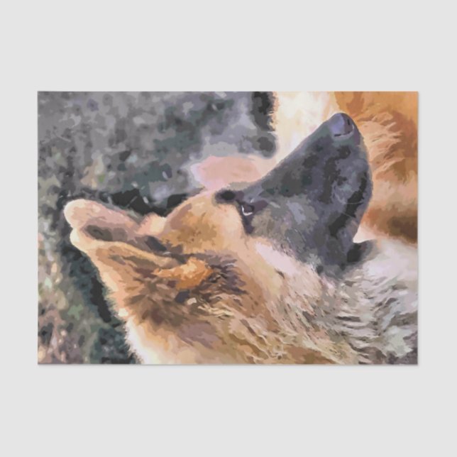 GERMAN SHEPHERD DOG TISSUE PAPER (Front)