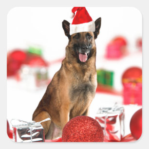 German Shepherd dog w Christmas Gifts Santa Hat Square Sticker