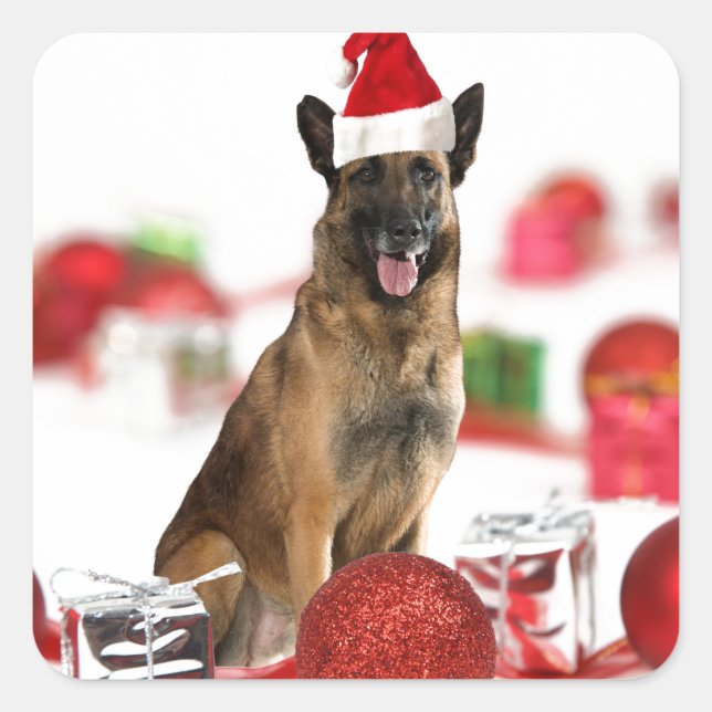German Shepherd dog w Christmas Gifts Santa Hat Square Sticker (Front)