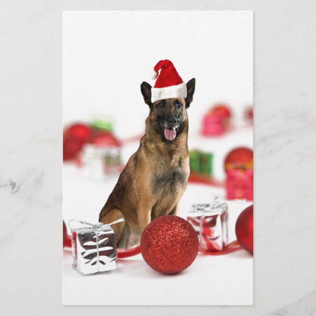 German Shepherd dog w Christmas Gifts Santa Hat Stationery (Front)