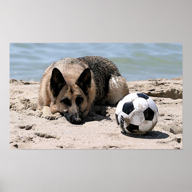 German Shepherd Dog With Soccer Ball Poster Print (Front)
