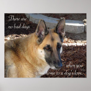 German Shepherd Dog's Love Poster