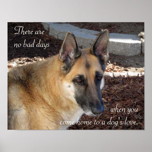 German Shepherd Dog's Love Poster (Front)