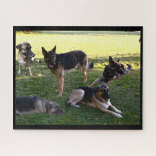 GERMAN SHEPHERD DOGS puzzle