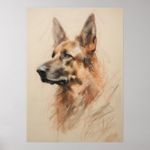 German Shepherd Drawing