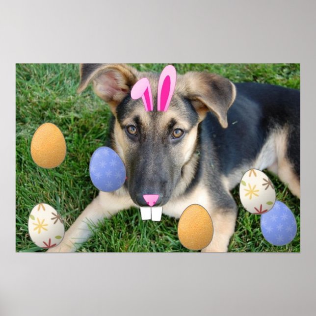 German Shepherd Easter Puppy Poster (Front)