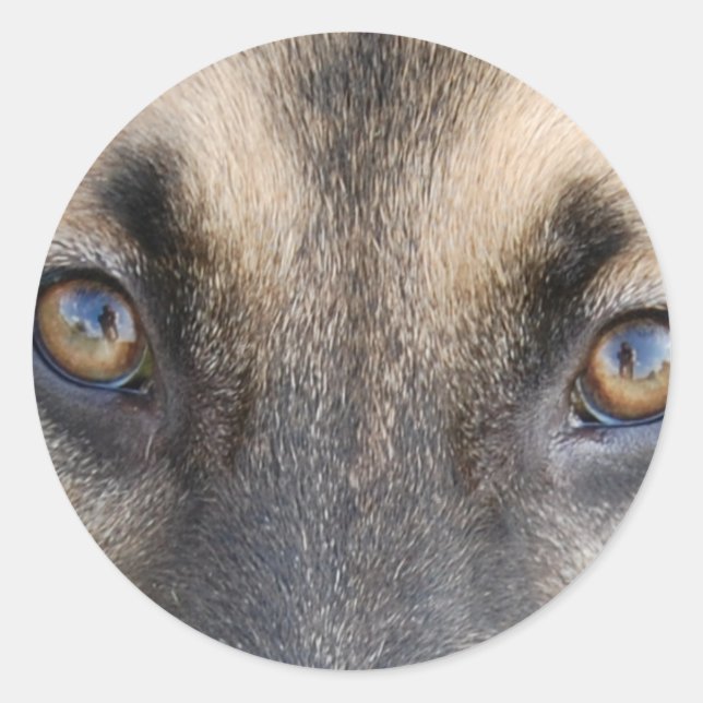 German Shepherd Eyes Classic Round Sticker (Front)
