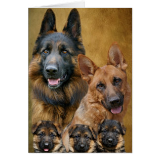 German Shepherd Family Card