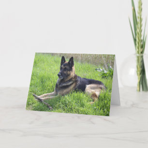 German Shepherd Fathers Day Card