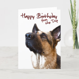 German Shepherd fromthedog1 Card
