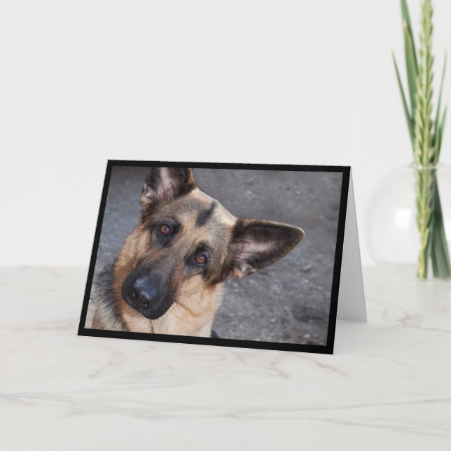 German Shepherd Greeting Card (Front)