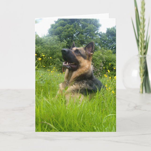 German Shepherd Greeting Card (Front)