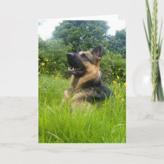 German Shepherd Greeting Card