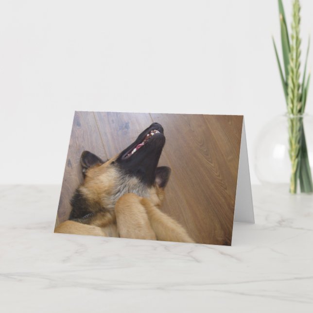German Shepherd Greeting Card (Front)