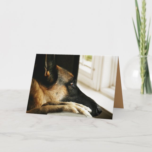 German Shepherd Greeting Card (Front)