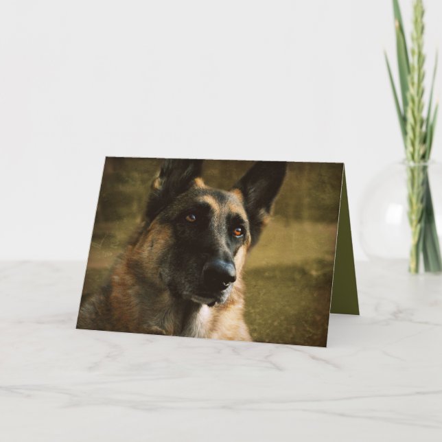 German Shepherd Greeting Card (Front)
