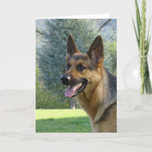 German Shepherd GREETING CARDS GREETING CARD
