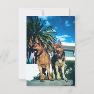 german shepherd group thank you card