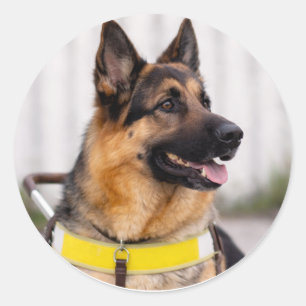 German Shepherd Guide Dog Graduation Envelope Seal