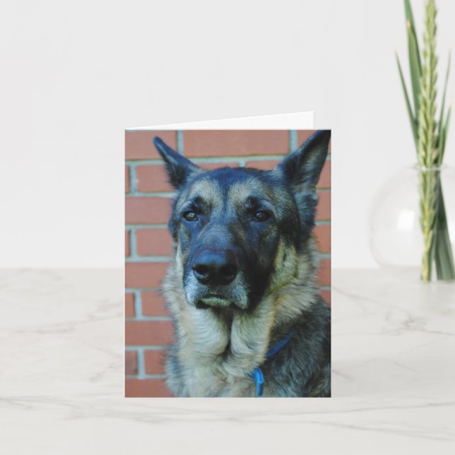 German Shepherd Happy Fathers Day Card (Front)
