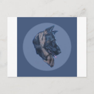 German Shepherd Head Study Postcard