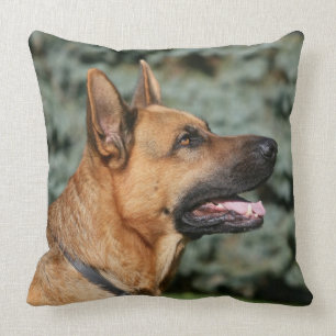 German Shepherd Headshot 1 Cushion