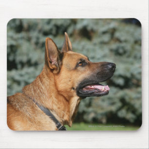 German Shepherd Headshot 1 Mouse Mat