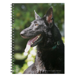 German Shepherd Headshot 2 Notebook