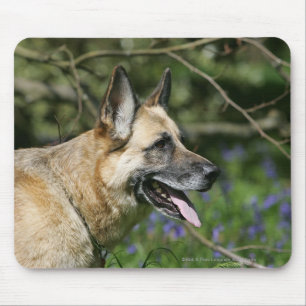 German Shepherd Headshot 3 Mouse Mat