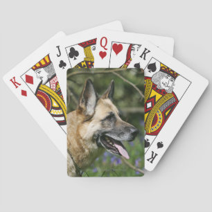 German Shepherd Headshot 3 Playing Cards
