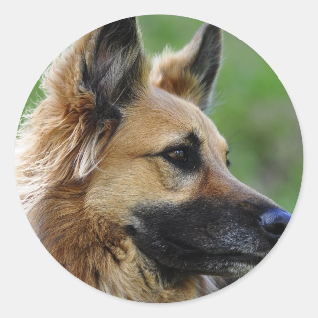 German Shepherd Headshot Classic Round Sticker (Front)