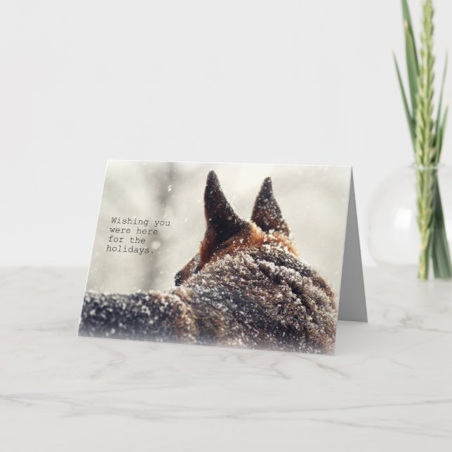 German Shepherd Holiday Card (Front)